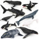 Simulation static solid PVC whale shark fragrance whale blue whale marine animal model ornaments children's toys 9 models