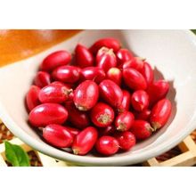 神秘果蜜拉圣果果实罕见神奇酸变甜改变味觉农家水果散装群木果干