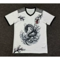Japan 9