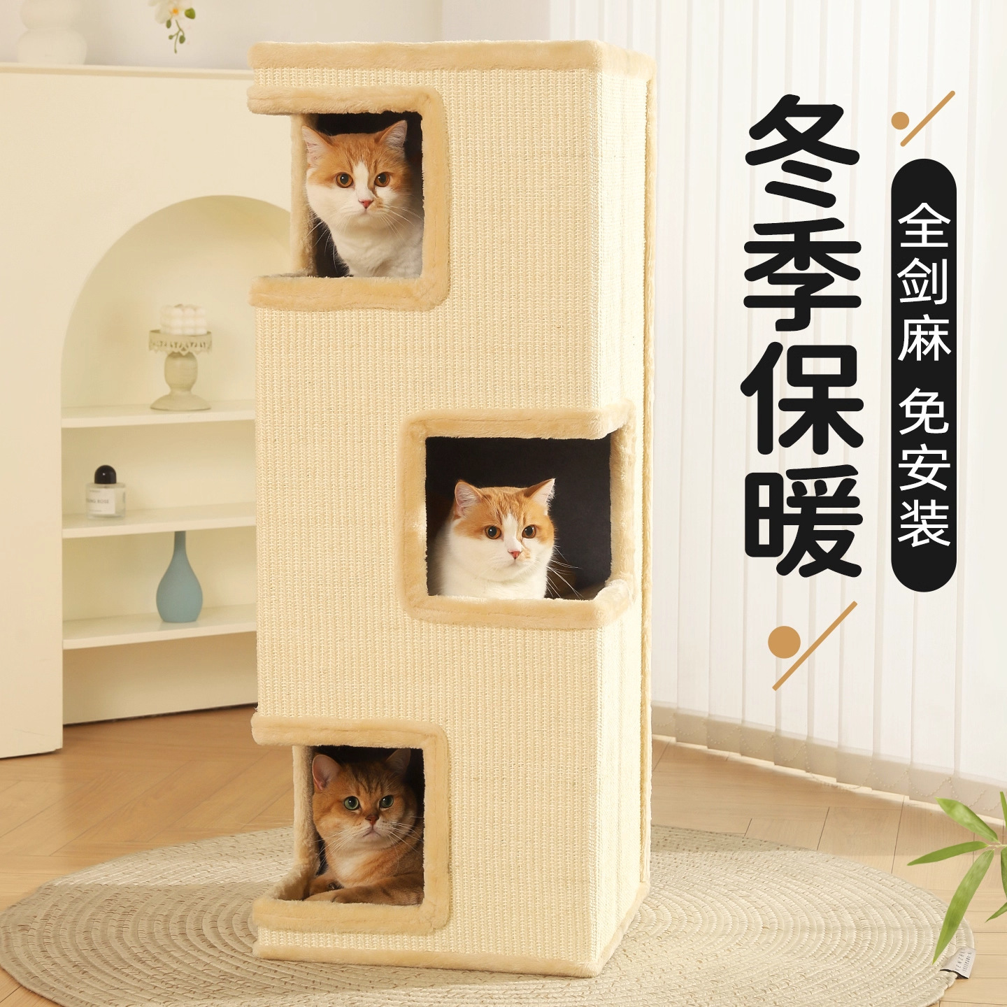 Pet Cat