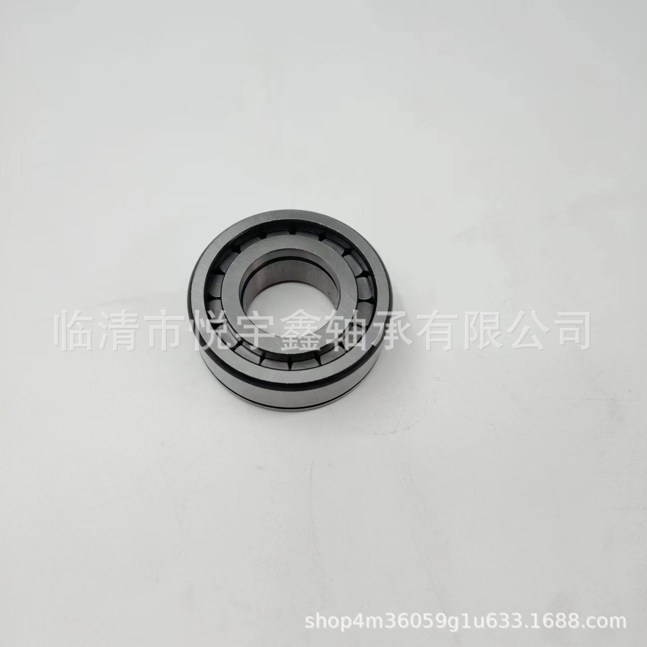 SL045020PP SL045022PP SL045024PP SL045026PP 装满圆柱滚子轴承