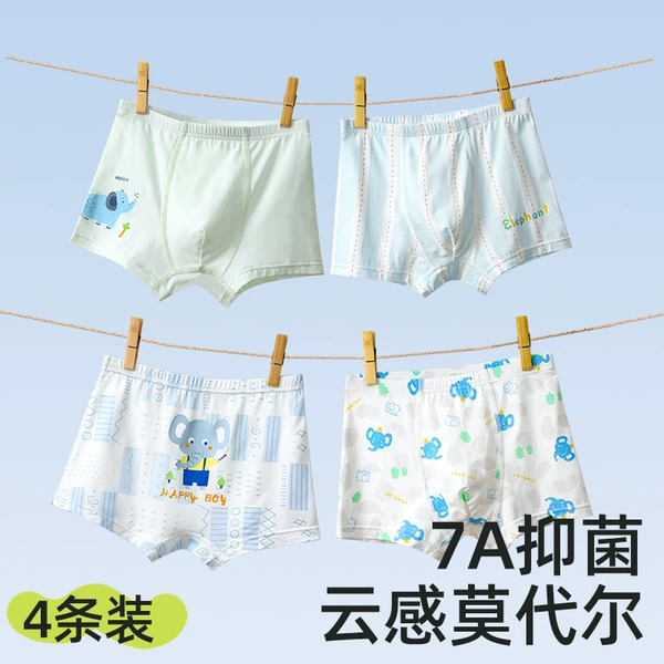 4 - Neilan Elephant