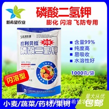 �W�� �������� С����������ș�Ĺ��仨���a���a⛷����a�~���