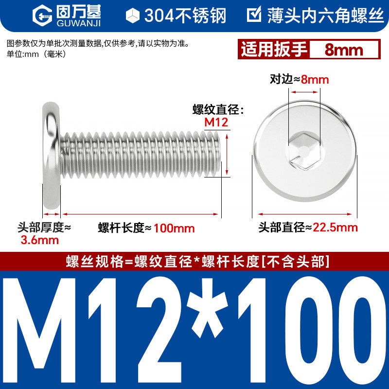304 M12*100