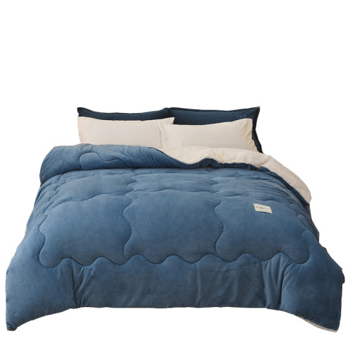 Warm lamb velvet winter quilt double-sided thickened milk velvet quilt student dormitory double quilt blanket quilt core wholesale