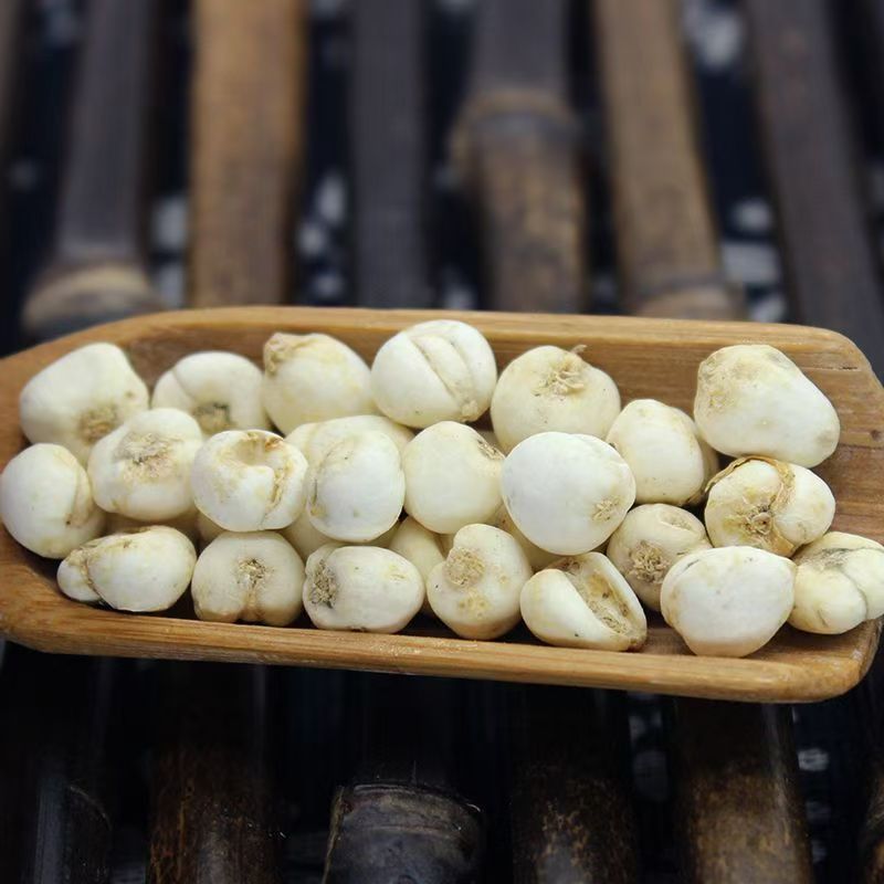 Fritillaria Bulb Bei Mu 贝母 Dried Chinese Herbal Bulbs 50g Bag Traditional Decoction Herb key features