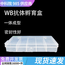 western blot���w������  ͸���ָ����wb���w���� ���߽M�����