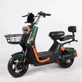 其他电动车;电动三轮车;电动代步车