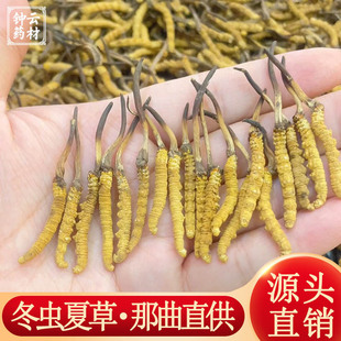 �ɶ��x�Ĳ������������x�Ĳ݂��y���aƷ��؛�x�ݿɶY���������l