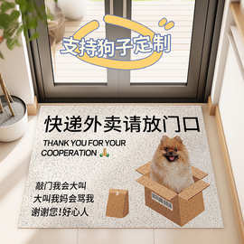 一件代发快递外卖请放门口丝圈地垫狗狗地毯入户蹭土免洗门垫脚垫