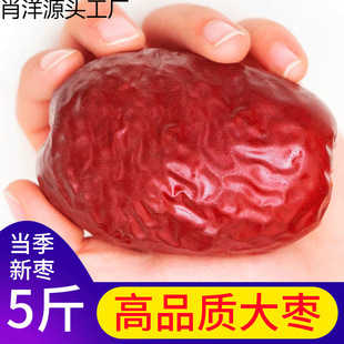�½��t��������ش�t����؛һ���E������؛���l�خa��
