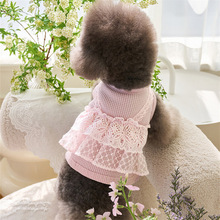 秋冬装宠物衣服小狗泰迪博美贵宾猫咪华夫格花边两脚衣小型犬