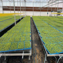 ���a���������Ƅ��紲�r���߲˴����紲�W���Ҵ������������紲