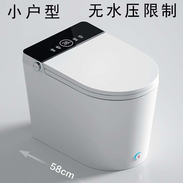 Small apartment intelligence closestool Integrated heating pedestal pan size Tankless household pedestal pan