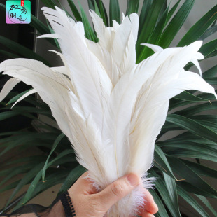 �S��ֱ�Ndiy�ֹ���ë�L��ëÓ����β�Ʒ�����߹�ˇƷ���b�o��