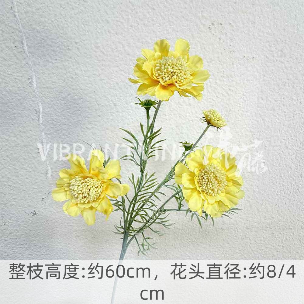Yellow wheel chrysanthemum