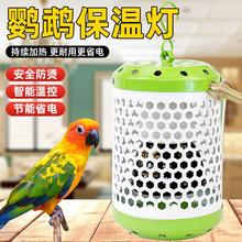 鹦鹉保暖宠物保温灯陶瓷加热灯鸟笼专用取暖灯防烫灯罩过冬神器