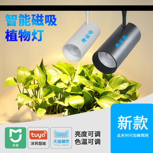 Guangdong Power Saving Cob Full Spectrum 35W Green Plant Rain Cylinder Plant Wall Magnetic Track Plant Lamp