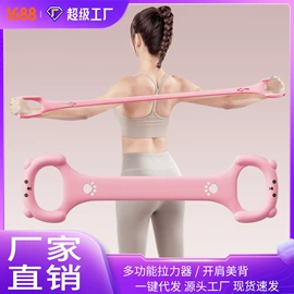 其他健身器材;健腹器;拉力器握力器