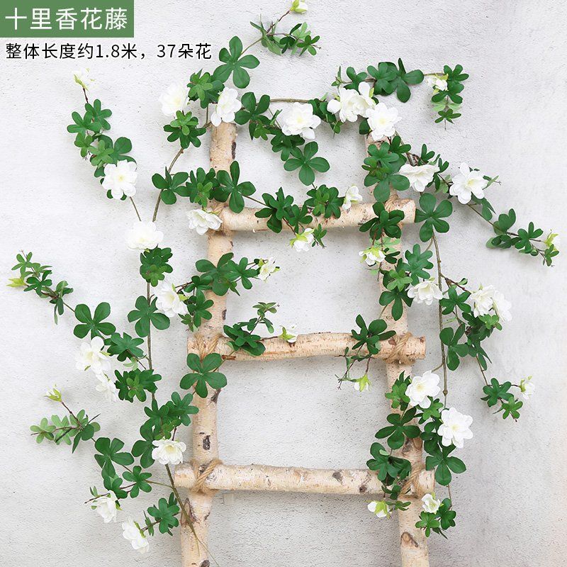 Uno blanco Shili flor de la vid