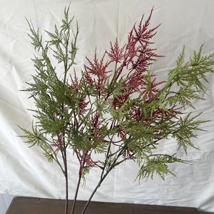 ������ë����֧������ë���t���~�b�������~���͘�������֦