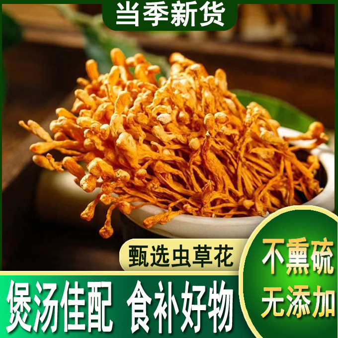 500g虫草花干货北金蛹虫草菇商用新鲜煲汤材料批发代发|ms