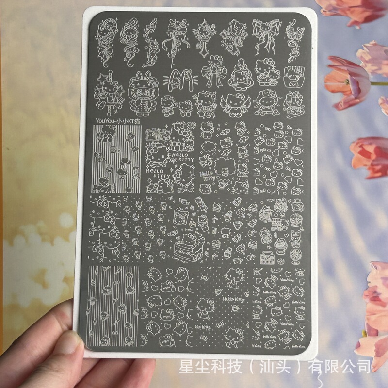 星尘跨境小红书直播美甲磨砂转印钢板格纹法式百搭蕾丝彩绘印图板|undefined