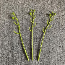 �����m���U���滨֦��4�^�U9�^�U���ϻ�֦����廨ֲ��ٻ��U���l