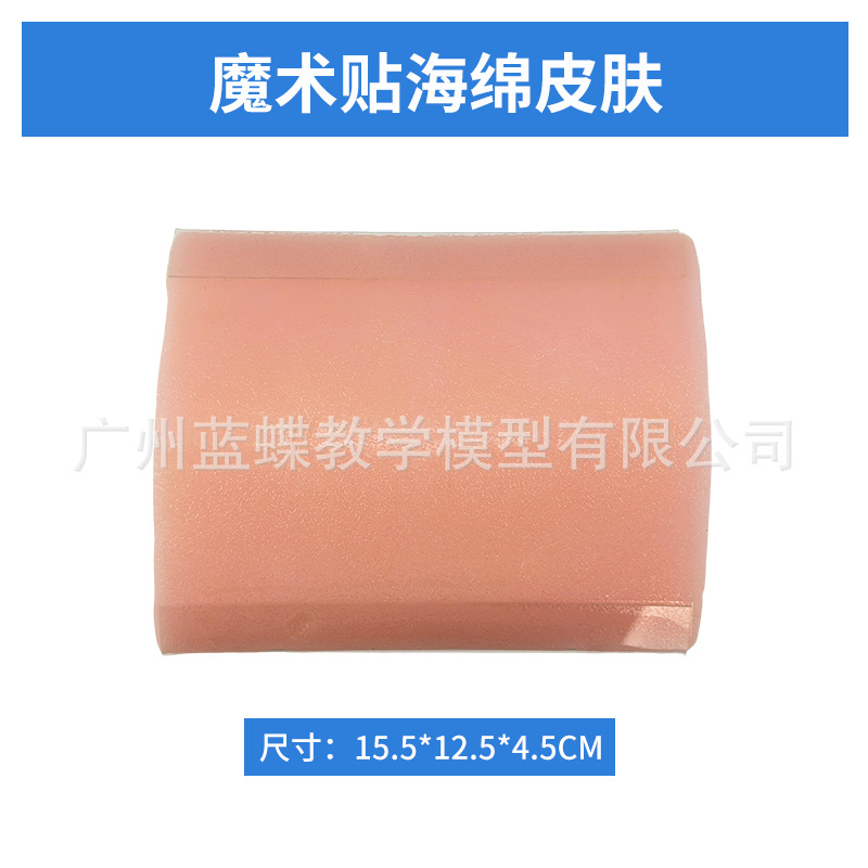 �����Ƥ�����ģ�� ��㼡���п����ѵ��ģ�� ����п������ϰ