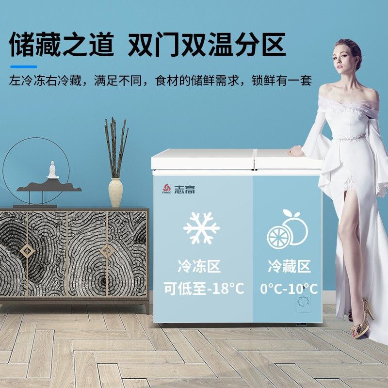 志高双门冰柜家用双温小冷柜小型冷冻柜冰箱双开门冷藏冷冻厨房
