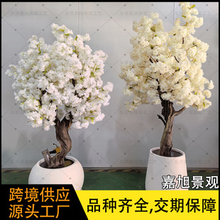 ���挍ľ�ѻ����҃ȷ��滨�䙻���쾰����٘��Y�����ѻ����辰