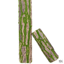 �٘�Ƥ���߃Ȱ���Ȼ�҃���Ƥ���̨����ܛ�z�ܵ��٘����ֲ��