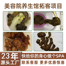 果蔬谷物酵素净化套盒饥肠排餐台湾益生菌植物酵素粉宿便固体批发