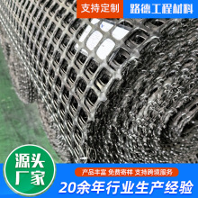 双向塑料土工格栅源头厂家制造路基加固 聚丙烯 双向土工格栅