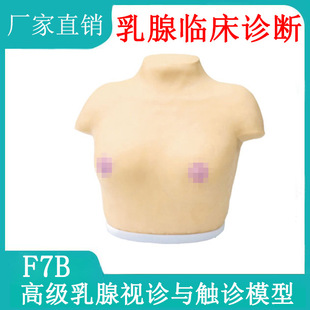 Advanced Breast Auscultation and Palpation Model Lesion Female Breast Clinical Diagnosis Teaching and Self Examination