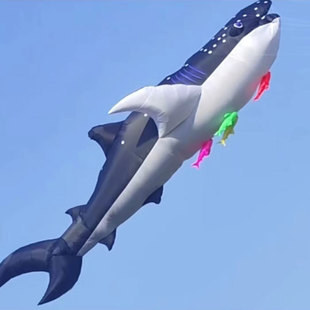 �¿��L�~ ����L�~ 12.5�׻��L�L�~ ����L�~  40D�����㲼