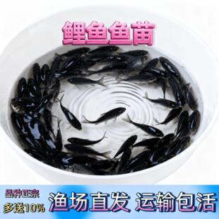 �̻����̻��~�����~��ˮʳ���~�����~�Bֳ�~���]����