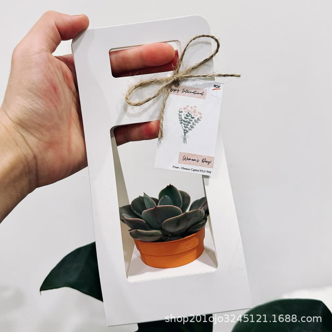 迷你盆栽款 (4).jpg