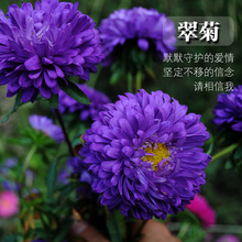 DʴշNlѻ¾Ұ@ֲﻨL