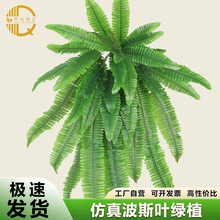 ����Gֲާٻ�������Y�Ƶ�ֲ��廨���������b�ާ�~���~