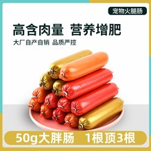 狗狗火腿肠宠物零食大香肠训练奖励补钙低盐幼犬成犬整箱批发50g