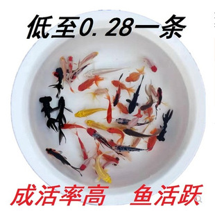 С����ˮ��ˮ�^�p�~С���~���~���B�ͻ�t�ݽ��~�羚������~�~��