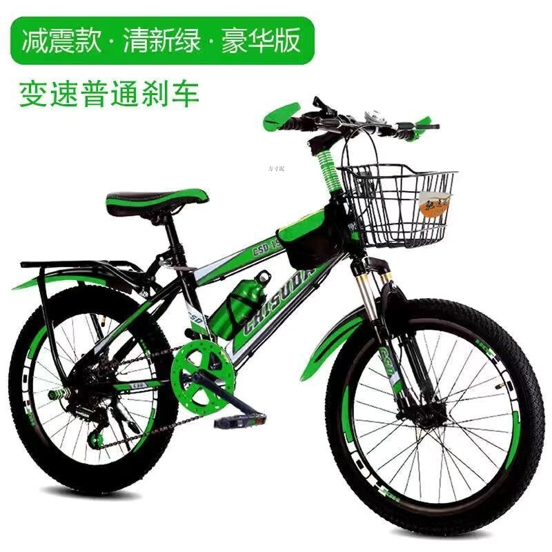 Children's Mountain Bike for Ages 10, 20inch Boys and Girls, Primary and Middle School Students, Variable Speed, Dual Disc Brake, Shock Absorption Racing Bike
