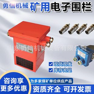 �V����Ӈ��� ����t������b�����܈��b�� ���M�C�V����Ӈ���