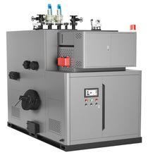 生物質鍋爐顆粒燃料蒸汽發生器工業全自動取暖設備2噸熱水爐環保