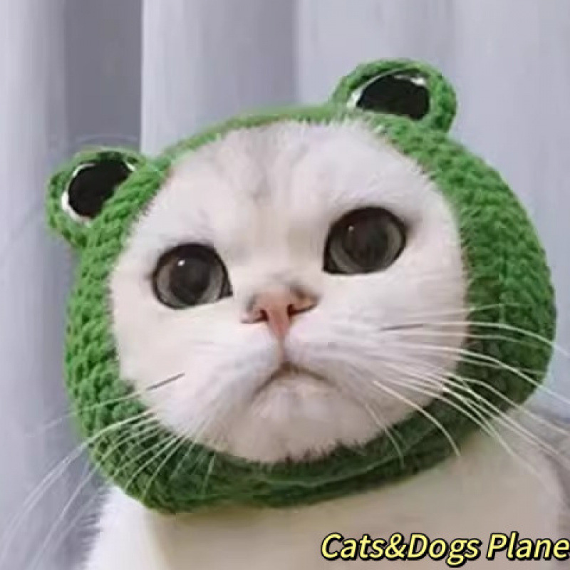 猫かわいい面白い女装帽子ペット帽子ゴールデングラデーション英国ショートヘアデボン犬ハンバーガーヘッドギア漫画帽子|undefined