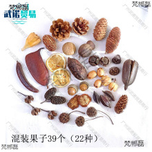 ɻɹMb׃@DIYֹϰɹɻ[յ