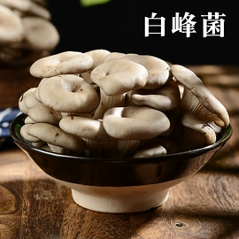 其他干货;蘑菇;牛肝菌