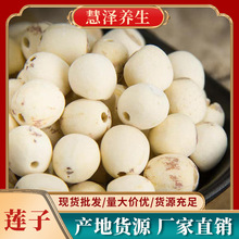 ɏ��ȥоĥƤ��ɏ����ɏ��Ҏ��F؛Դ�^؛Դ��a�����خa���l����