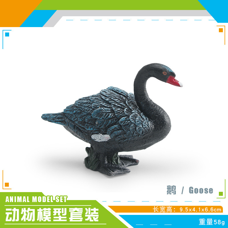 Simulación transfronteriza verruga nariz cisne cisne negro pollos de gallina granja de pollo de corral modelo de decoración ornamentos estáticos